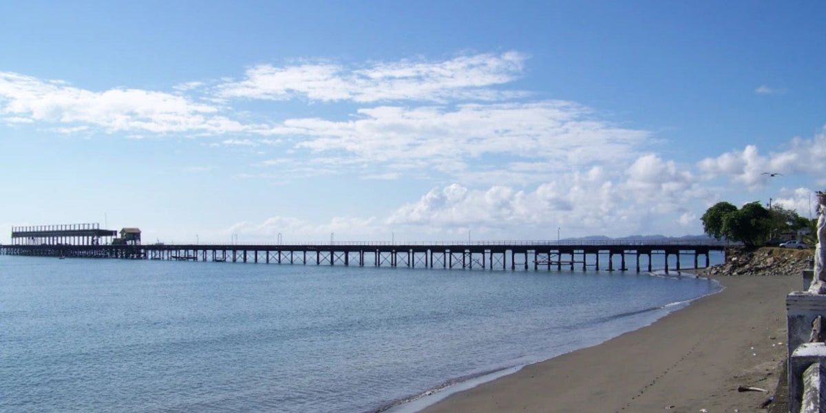 Puerto Armuelles: The New Logistics Hub That Could Transform Western Panama