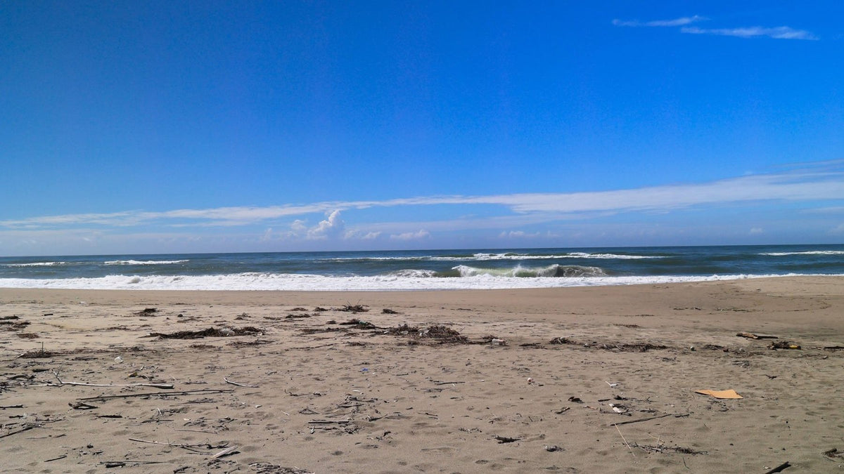 Rental vs Personal Use: Panama Beach Home | ChiQworld