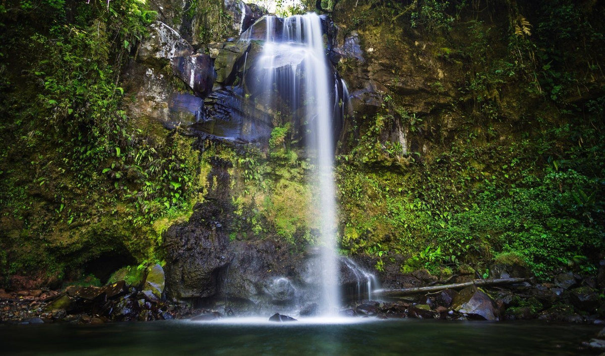 Living in Boquete vs. Panama City: Which Is Right for You?