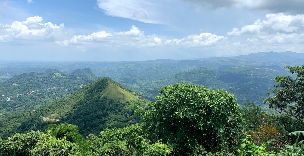Forested peaks of the Campana highlands above Yuma Mountain Community