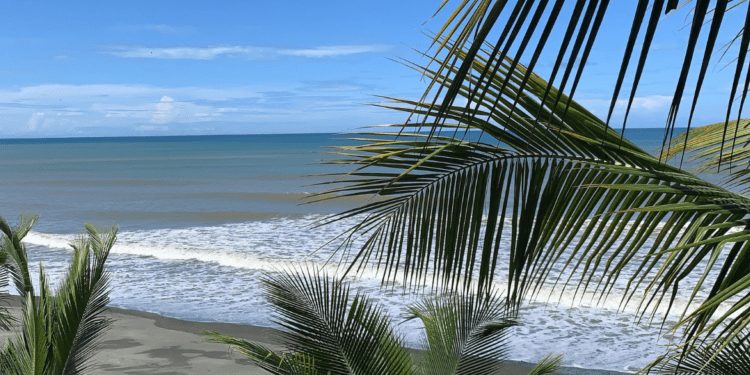Surf and palms on the beach at Coco Beach