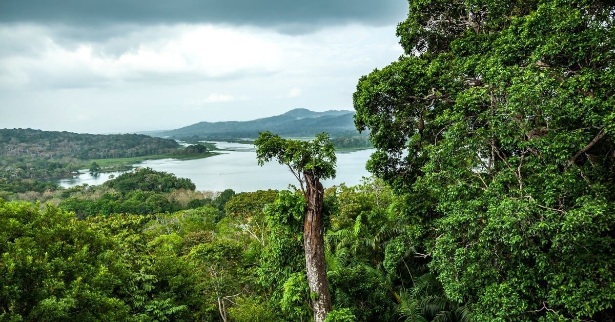 Gatun Lake and forested islands seen from the Arenosa shore