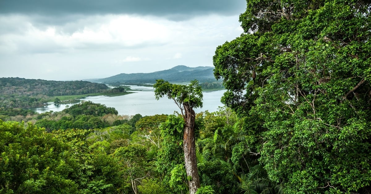 Preserving Gatun Lake A Sustainable Design Vision by ChiQWorld Partners